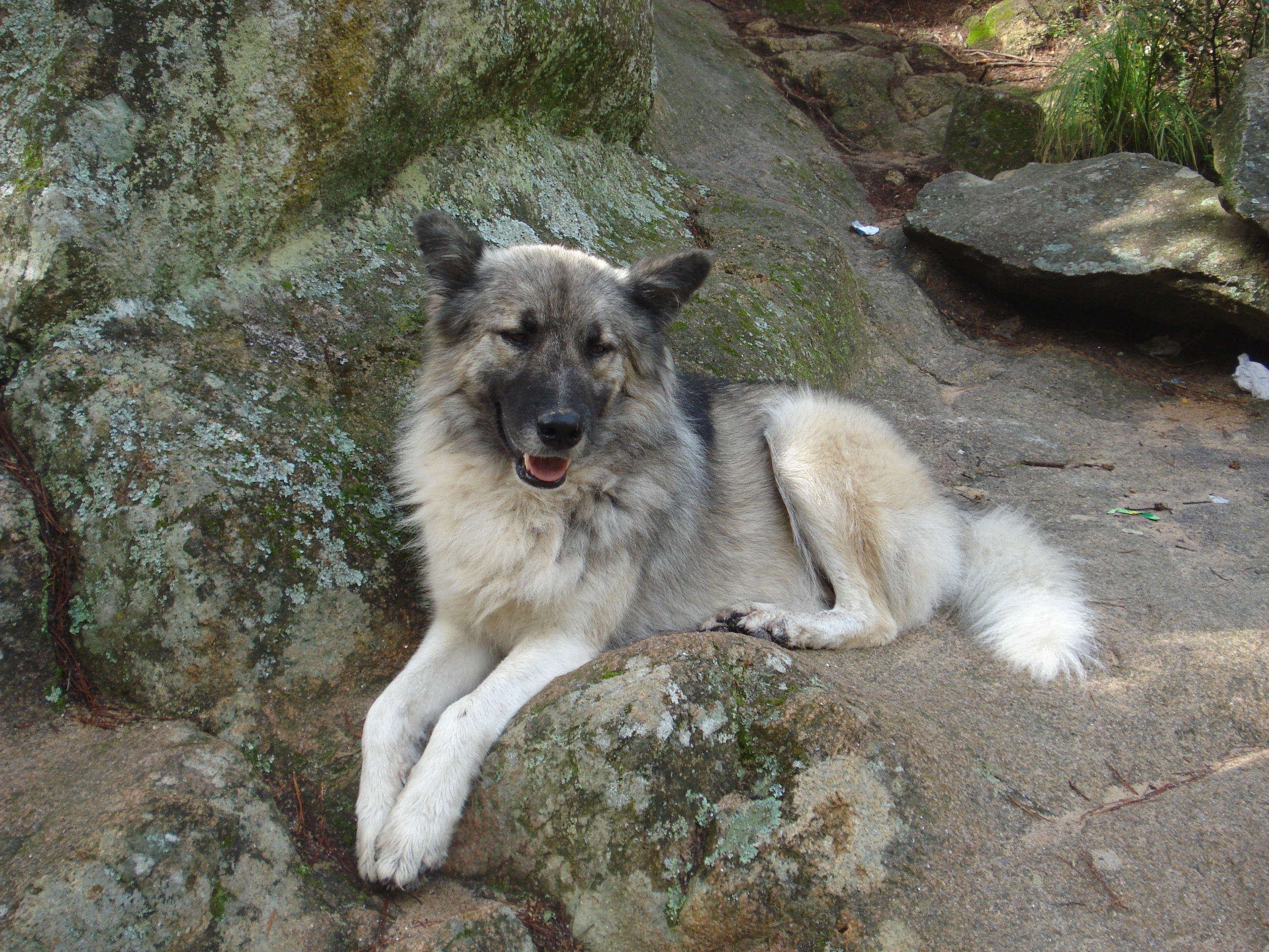 fotos/2011 - Los Reartes/DSC00486.JPG